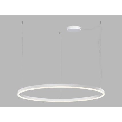 LED2 - Lámpara de araña LED regulable CIRCLE LED/80W/230V 3000K/4000K diá. 100 cm blanco
