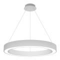 LED2 - Lámpara de araña LED regulable con cable SATURN LED/60W/230V 3000K/4000K blanco