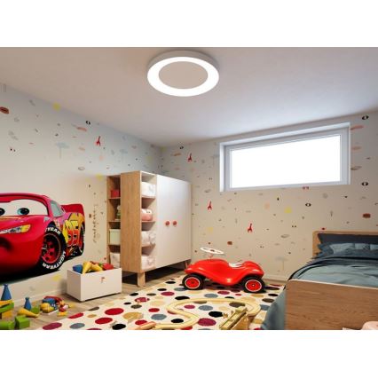 LED2 - Lámpara de techo LED BELLA LED/40W/230V 3000/4000K blanco