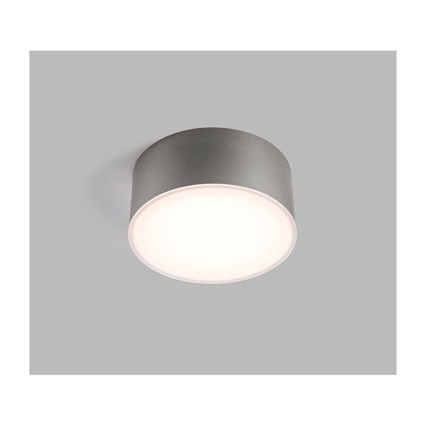 LED2 - Lámpara de techo LED BUTTON LED/17W/230V plateado