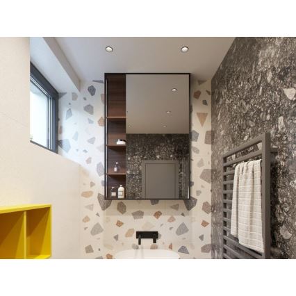 LED2 - Plafón de baño LED RAY LED/10W/230V negro IP44