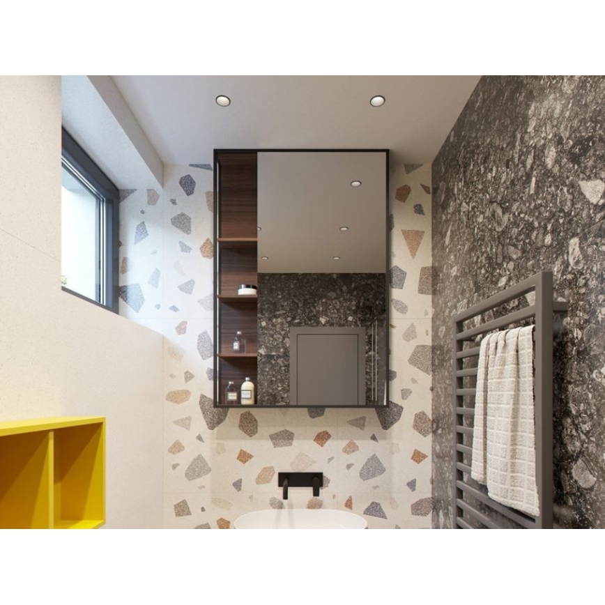 LED2 - Plafón de baño LED RAY LED/10W/230V negro IP44