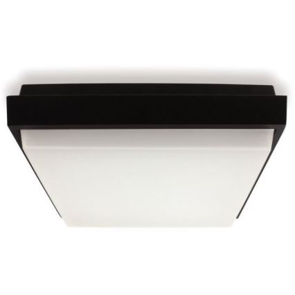 LED2 - Plafón exterior LED QUADO LED/10W/230V antracita IP54
