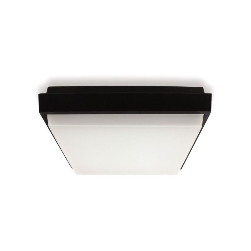 LED2 - Plafón exterior LED QUADO LED/10W/230V antracita IP54