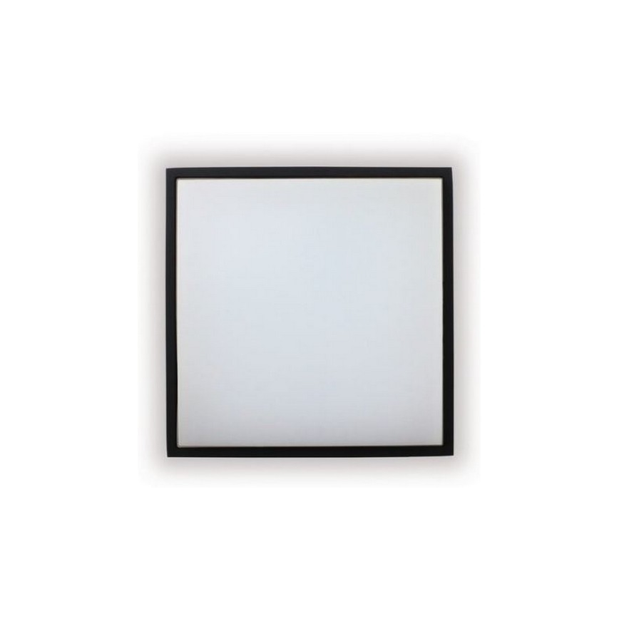 LED2 - Plafón exterior LED QUADO LED/10W/230V antracita IP54