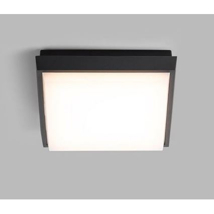 LED2 - Plafón exterior LED QUADO LED/10W/230V antracita IP54