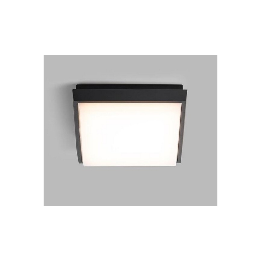 LED2 - Plafón exterior LED QUADO LED/10W/230V antracita IP54