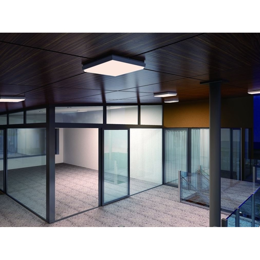 LED2 - Plafón exterior LED QUADO LED/10W/230V antracita IP54