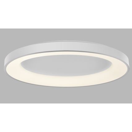 LED2 - Plafón LED regulable BELLA LED/80W/230V 3000K/4000K blanco