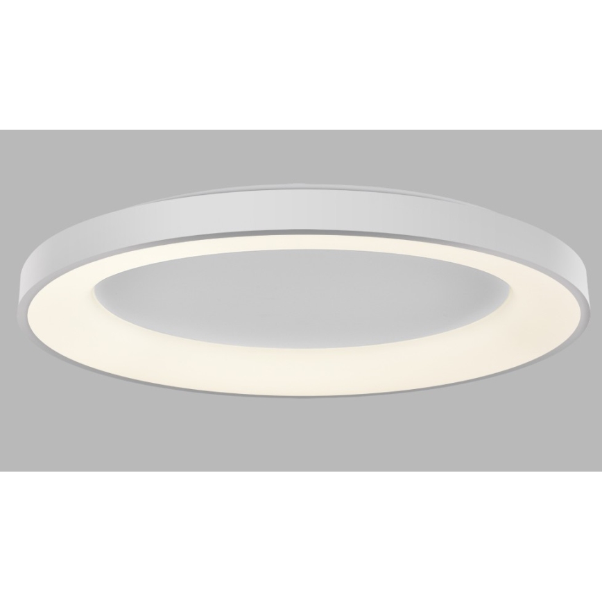 LED2 - Plafón LED regulable BELLA LED/80W/230V 3000K/4000K blanco