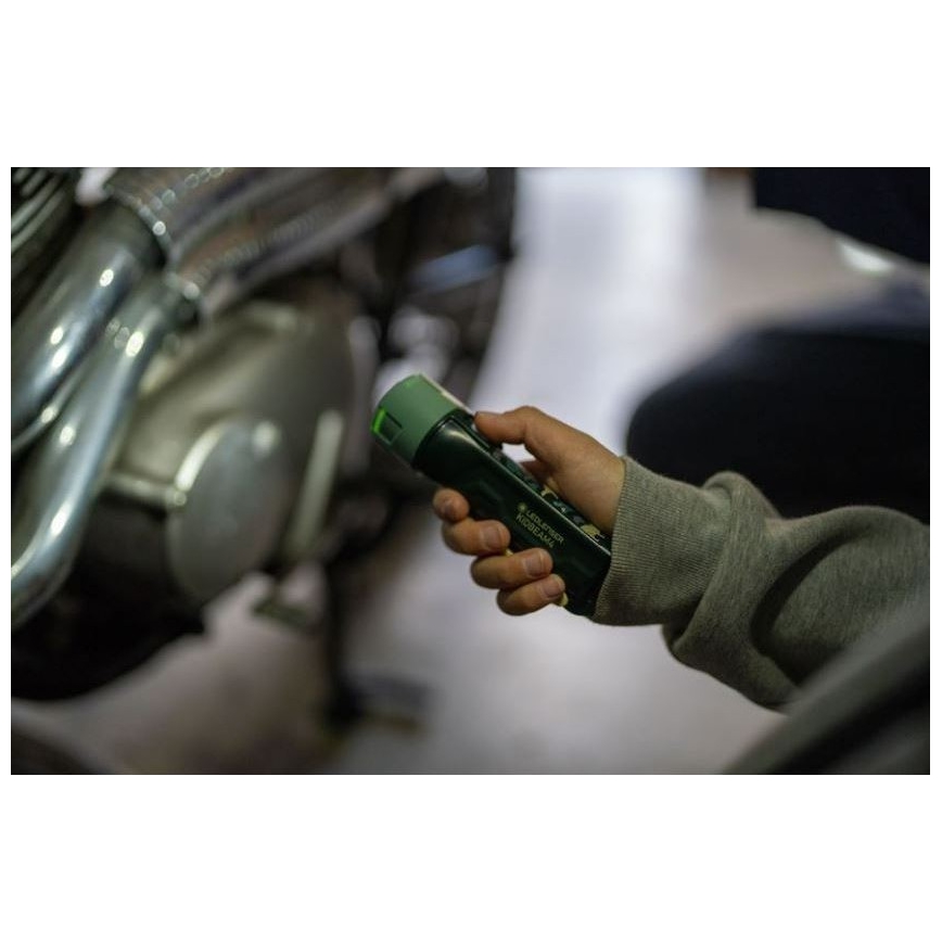 Ledlenser KIDBEAM4 DINO - Linterna infantil LED regulable LED/2xAAA IP44 verde