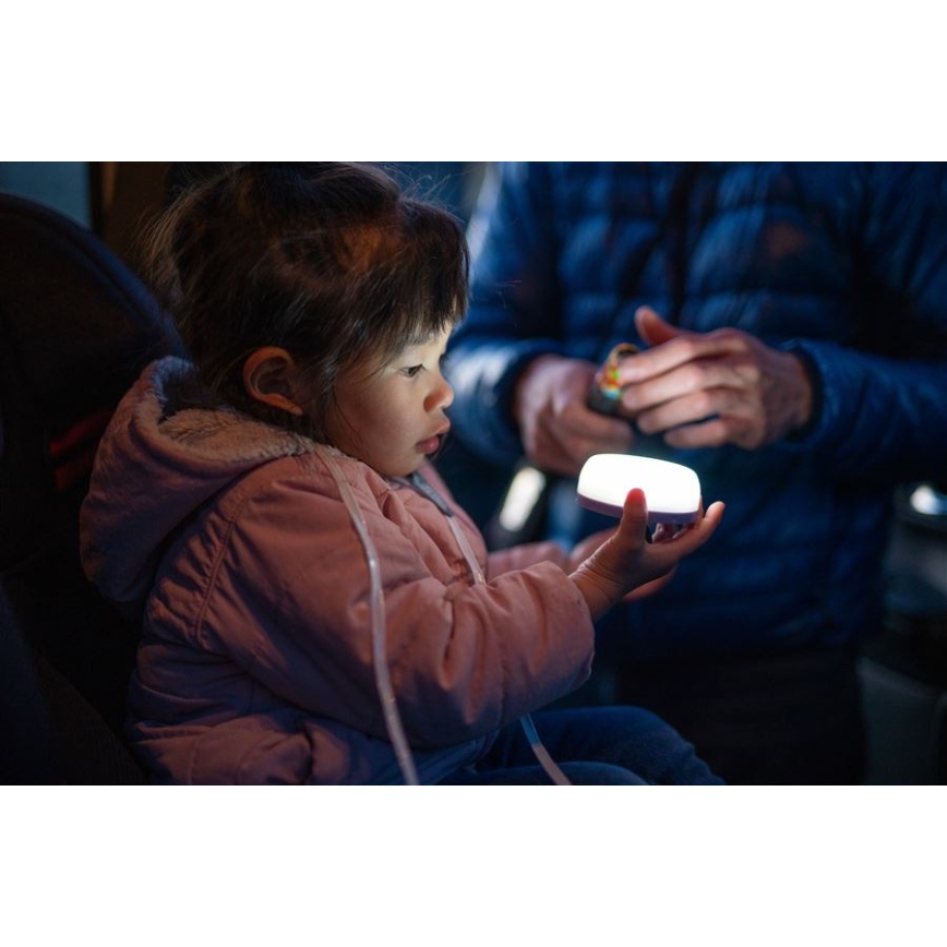 Ledlenser KIDCAMP6 DINO - Lámpara portátil LED regulable, 3x AAA, IP44, verde