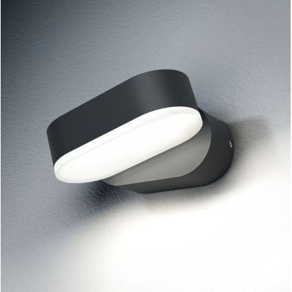 Ledvance - Aplique LED para exterior ENDURA LED/8W/230V IP44