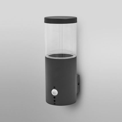 Ledvance - Aplique para exterior con sensor EBRO 1xE27/20W/230V IP44