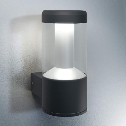 Ledvance - Aplique para exterior LED LANTERN 1xLED/12W/230V IP44