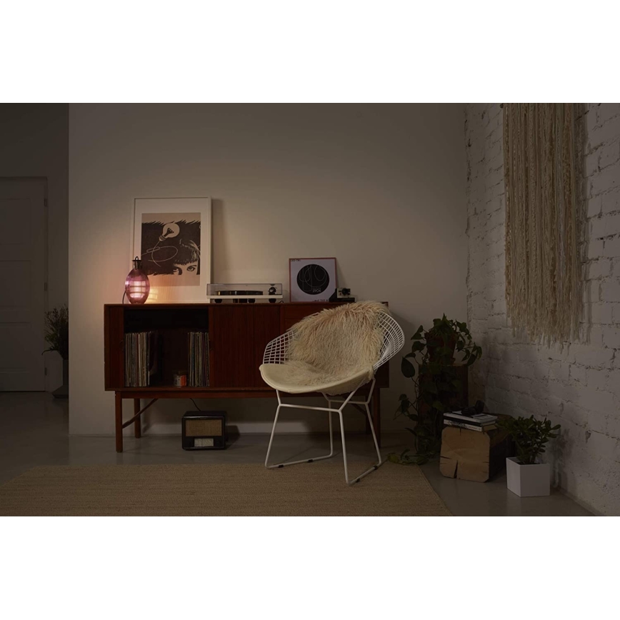 Ledvance - Lámpara de mesa GRAPE 1xE27/40W/230V rosa
