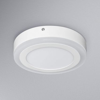 Ledvance - Lámpara de techo LED ROUND LED/15W/230V dia. 20 centímetros