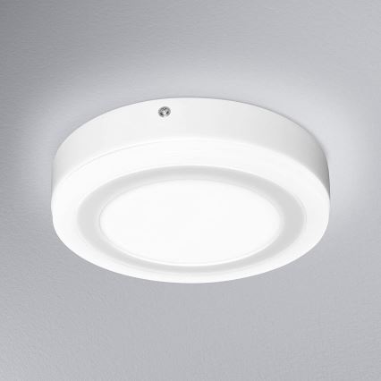 Ledvance - Lámpara de techo LED ROUND LED/15W/230V dia. 20 centímetros
