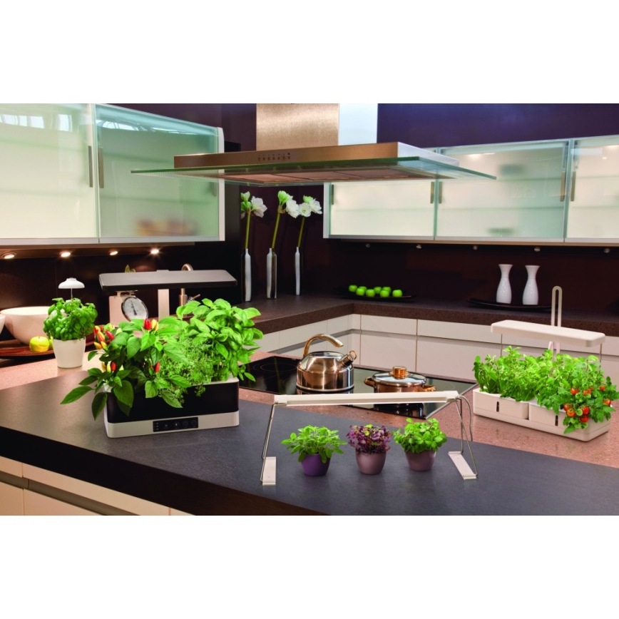 Ledvance - Lámpara interior LED GARDEN LIGHT LED/5W/5V