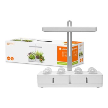 Ledvance - Lámpara LED de interior para plantas GARDEN KIT LED/24W/230V