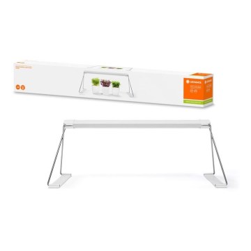 Ledvance - Lámpara LED de interior para plantas GARDEN LIGHT LED/14W/230V