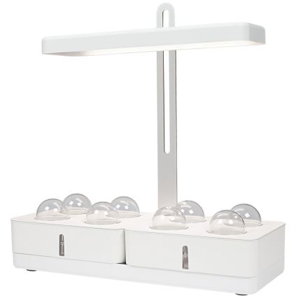Ledvance - Lámpara LED de interior para plantas GARDEN KIT LED/24W/230V