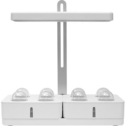 Ledvance - Lámpara LED de interior para plantas GARDEN KIT LED/24W/230V