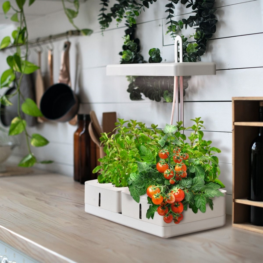 Ledvance - Lámpara LED de interior para plantas GARDEN KIT LED/24W/230V