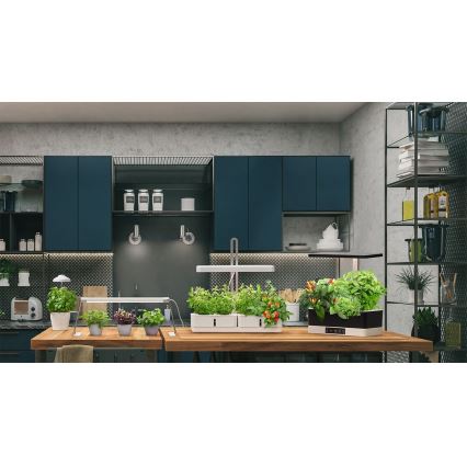 Ledvance - Lámpara LED de interior para plantas GARDEN KIT LED/24W/230V