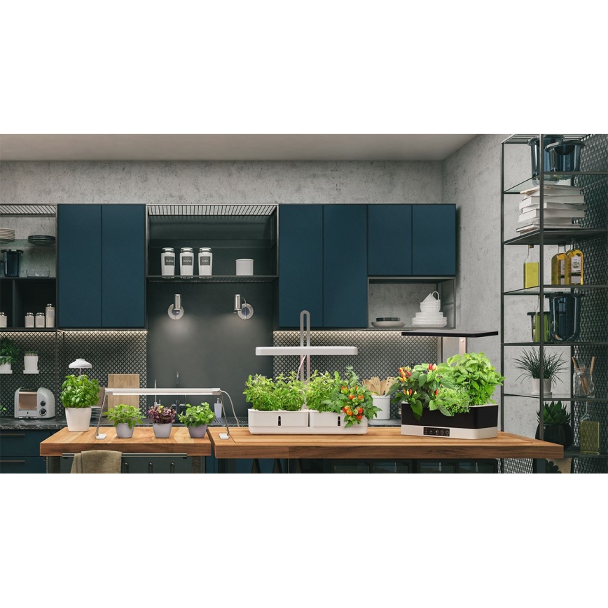 Ledvance - Lámpara LED de interior para plantas GARDEN KIT LED/24W/230V