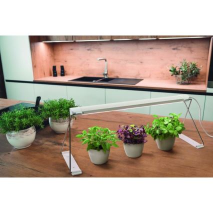 Ledvance - Lámpara LED de interior para plantas GARDEN LIGHT LED/14W/230V