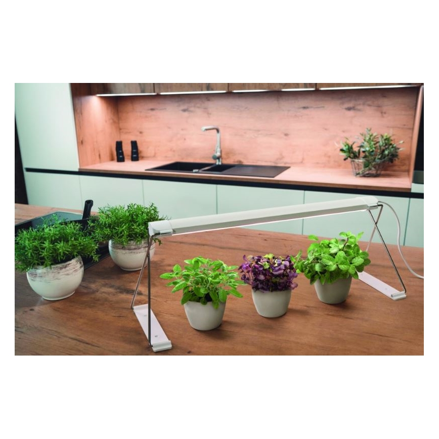 Ledvance - Lámpara LED de interior para plantas GARDEN LIGHT LED/14W/230V
