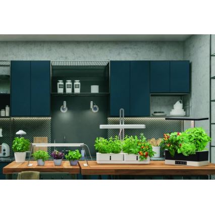 Ledvance - Lámpara LED de interior para plantas GARDEN LIGHT LED/14W/230V