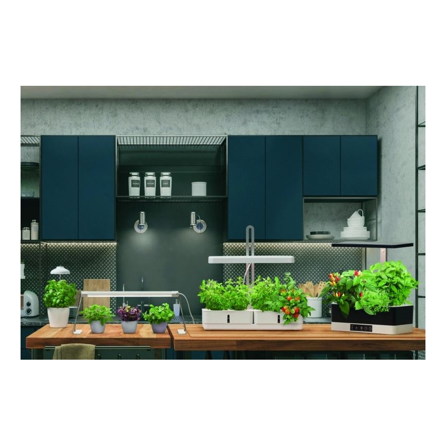 Ledvance - Lámpara LED de interior para plantas GARDEN LIGHT LED/14W/230V