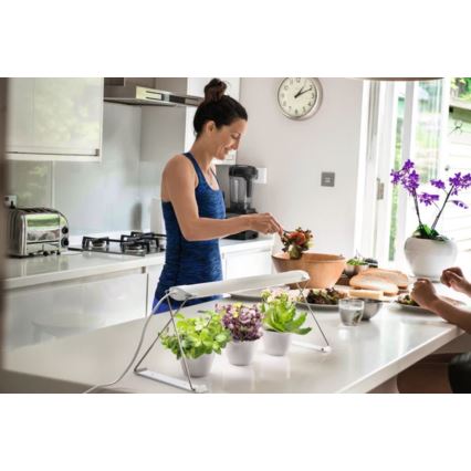 Ledvance - Lámpara LED de interior para plantas GARDEN LIGHT LED/14W/230V