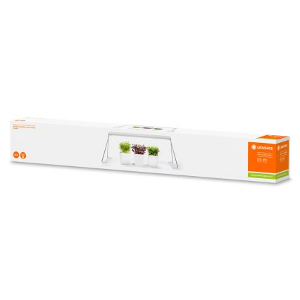 Ledvance - Lámpara LED de interior para plantas GARDEN LIGHT LED/14W/230V