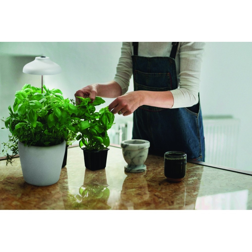 Ledvance - Lámpara LED de interior para plantas GARDEN LIGHT LED/5W/5V