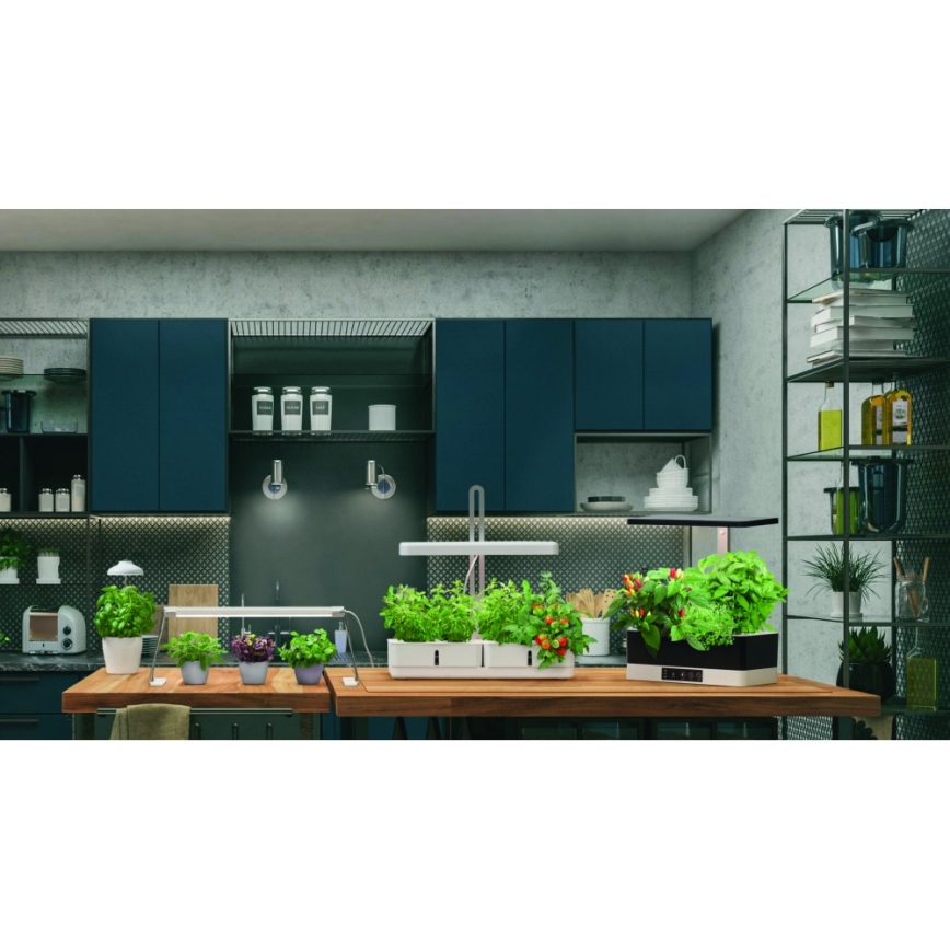 Ledvance - Lámpara LED de interior para plantas GARDEN LIGHT LED/5W/5V