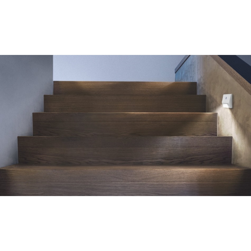 Ledvance - Lámpara LED para escaleras con sensor NIGHTLUX LED/0,25W/3xAAA IP54