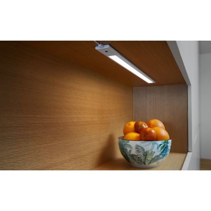 Ledvance - Lámpara LED regulable bajo armario con sensor CABINET LED/6W/230V