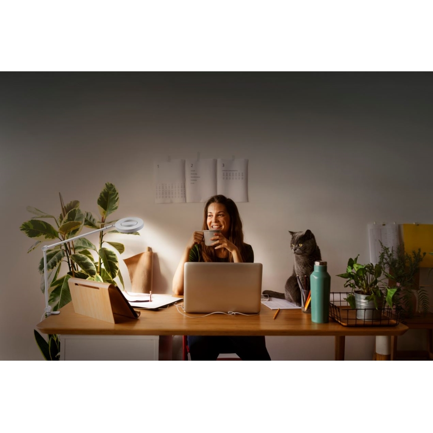 Ledvance - Lámpara LED regulable con clip SUN@HOME LED/15W/230V 2200-5000K CRI 95 Wi-Fi