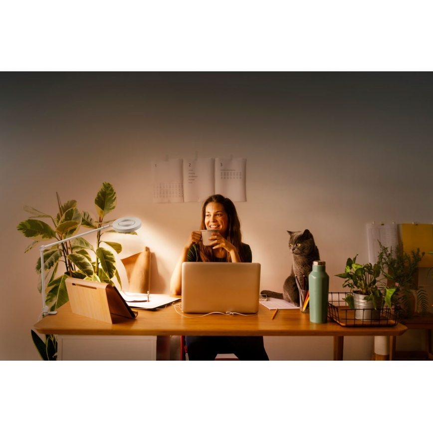 Ledvance - Lámpara LED regulable con clip SUN@HOME LED/15W/230V 2200-5000K CRI 95 Wi-Fi