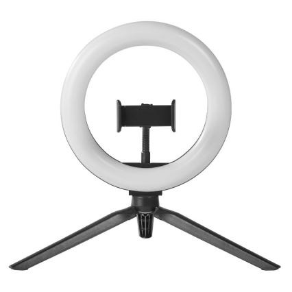 Ledvance - Lámpara LED de mesa regulable con pie y soporte para vlogging LED/5,5W/USB 3000/4000/6500K