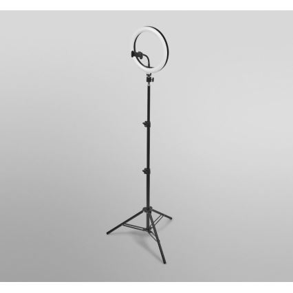 Ledvance - Lámpara de pie LED regulable con un soporte y soporte para vlogging LED/6W/USB 3000/4000/6500K