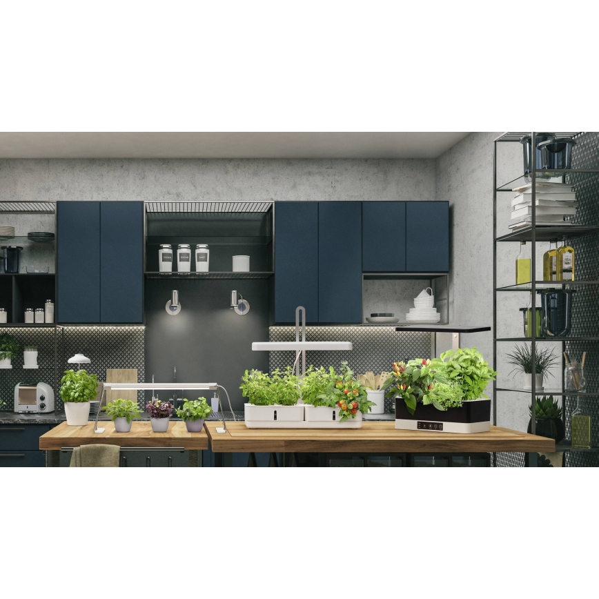 Ledvance - Lámpara LED regulable para plantas de interior GARDEN KIT LED/24W/230V