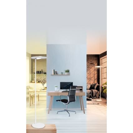 Ledvance - Lámpara de pie LED regulable SUN@HOME LED/36W/230V 2200-5000K CRI 95 Wi-Fi
