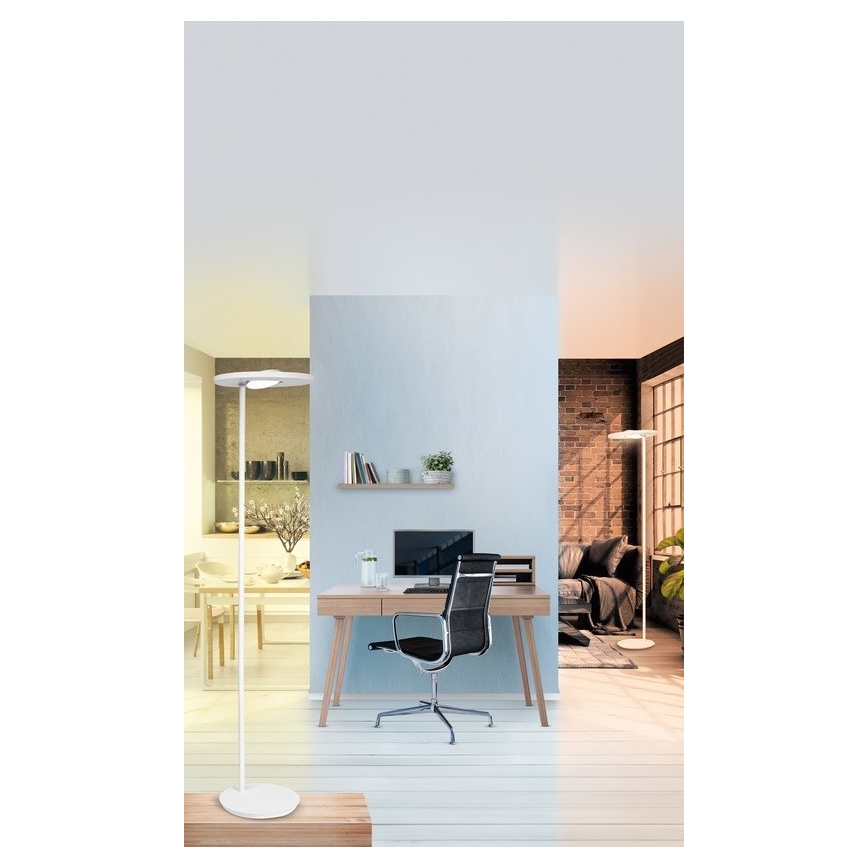 Ledvance - Lámpara de pie LED regulable SUN@HOME LED/36W/230V 2200-5000K CRI 95 Wi-Fi