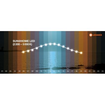Ledvance - Lámpara de pie LED regulable SUN@HOME LED/36W/230V 2200-5000K CRI 95 Wi-Fi