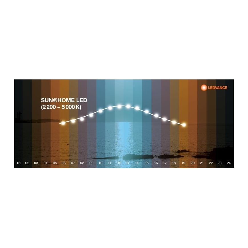 Ledvance - Lámpara de pie LED regulable SUN@HOME LED/36W/230V 2200-5000K CRI 95 Wi-Fi