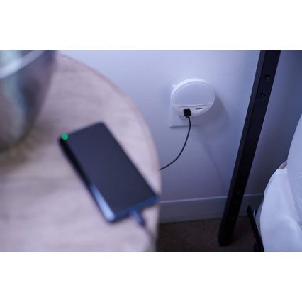 Ledvance - Lámpara nocturna LED en la toma con sensor LUNETTA 2xUSB LED/13W/230V